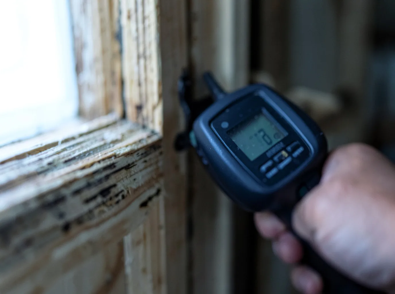 Moisture Inspection And Documentation in Tower Hill, IL